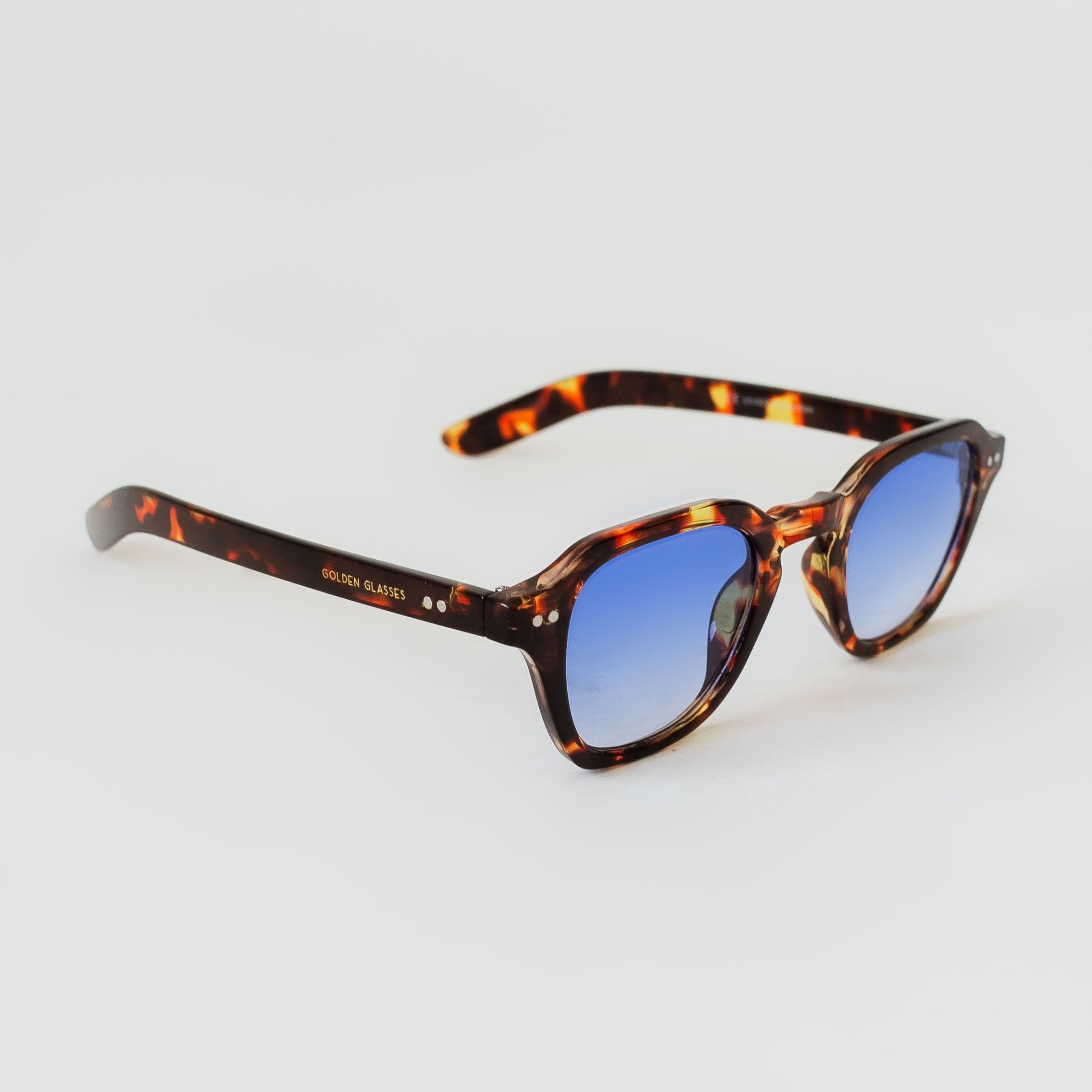 Óculos de Sol Unissex Gradient Azul Animal Print