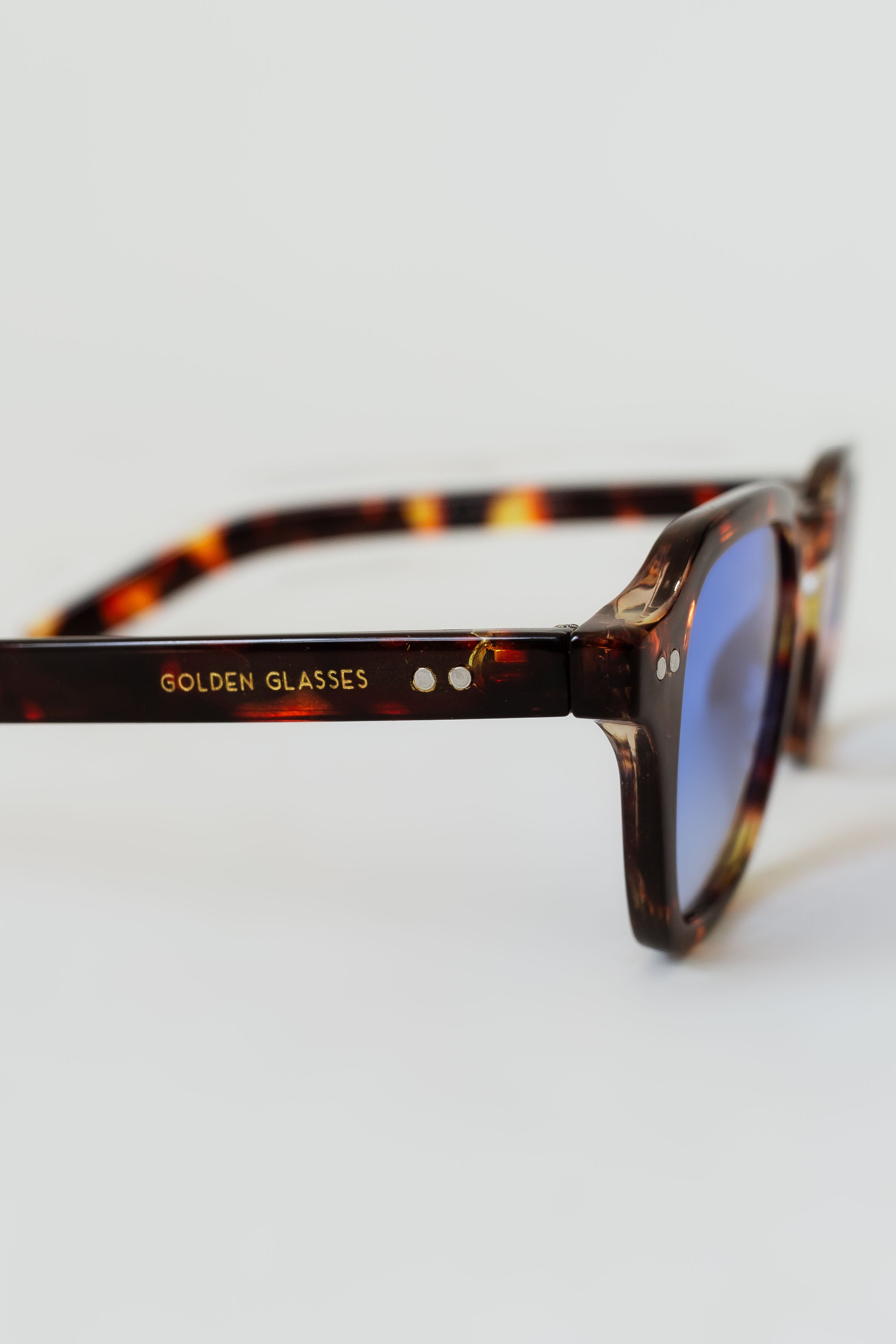 Óculos de Sol Unissex Gradient Azul Animal Print